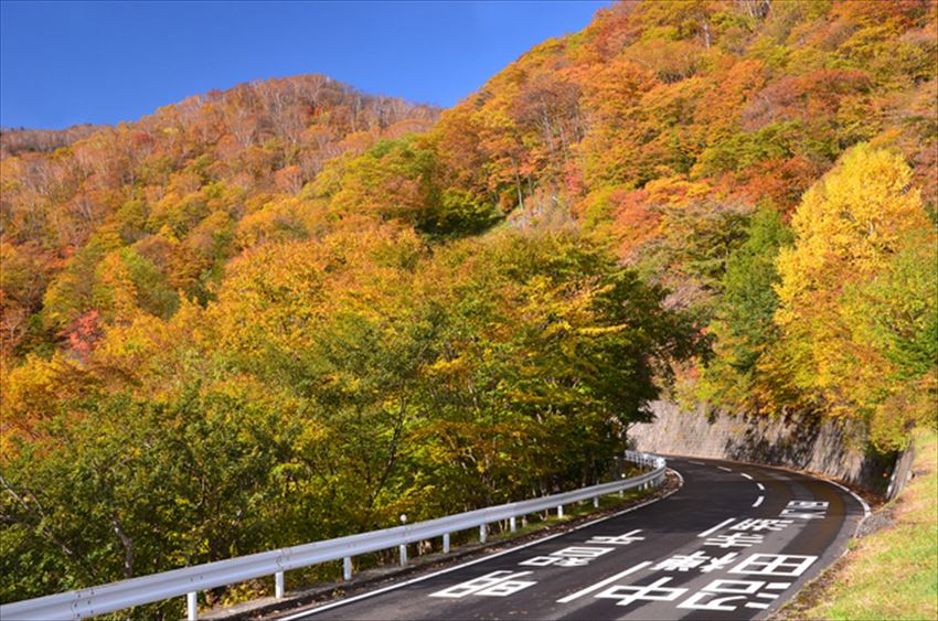 20141223-24-06-mountain-kouyou-autumn